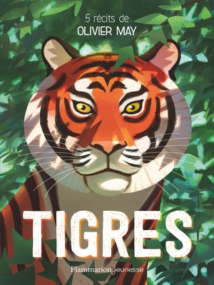 cover image of Tigres. Cinq récits d'aventure